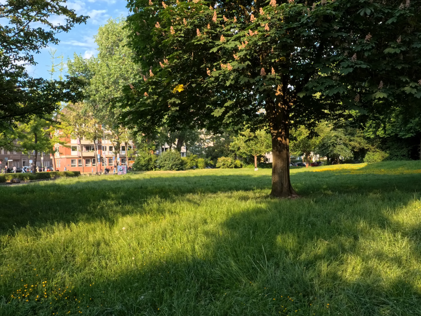 Cologne Volksgarten